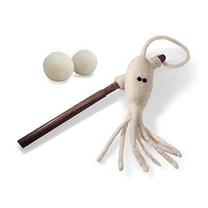 06180a83-5f04-4708-8a0f-e3b8875dc2cf.__CR0022502250_PT0_SX300_V1___.jpg 7